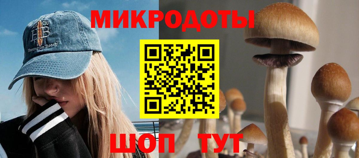 Галлюциногенные грибы Psilocybe  Вход с VPN  Великий Новгород 